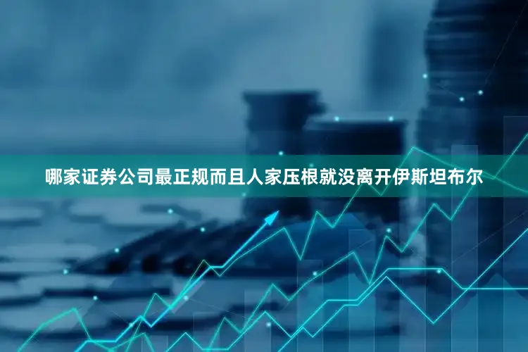 哪家证券公司最正规而且人家压根就没离开伊斯坦布尔