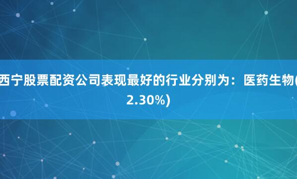 西宁股票配资公司表现最好的行业分别为：医药生物(2.30%)