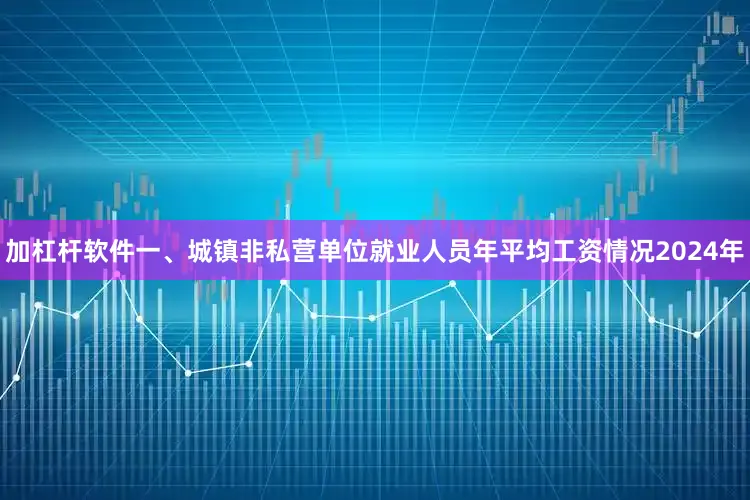 加杠杆软件一、城镇非私营单位就业人员年平均工资情况2024年