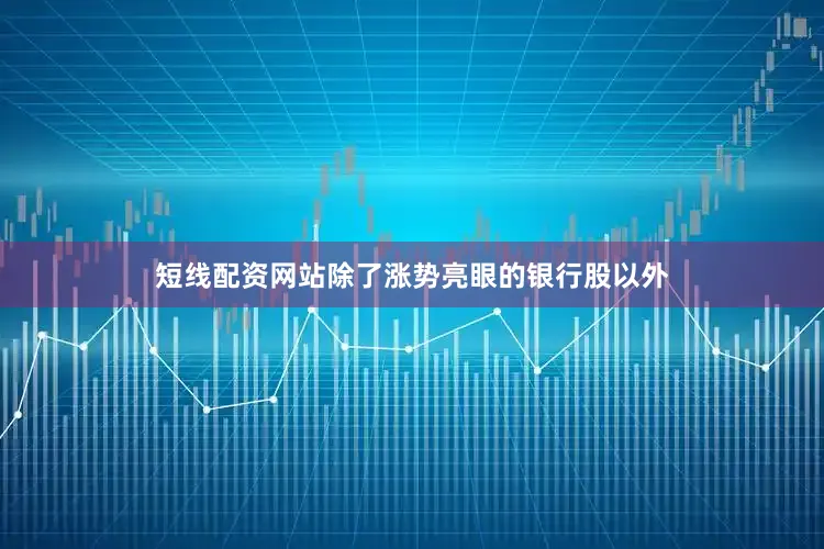 短线配资网站除了涨势亮眼的银行股以外