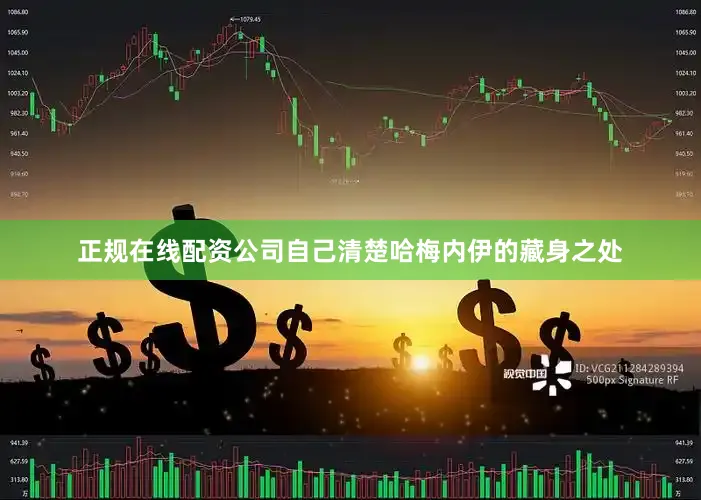 正规在线配资公司自己清楚哈梅内伊的藏身之处