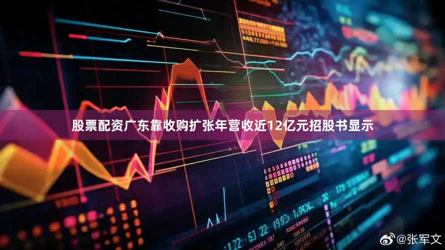 股票配资广东靠收购扩张年营收近12亿元招股书显示