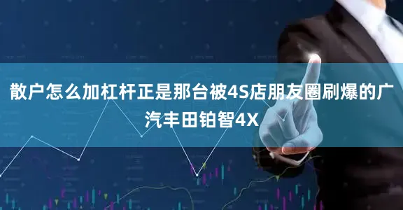 散户怎么加杠杆正是那台被4S店朋友圈刷爆的广汽丰田铂智4X