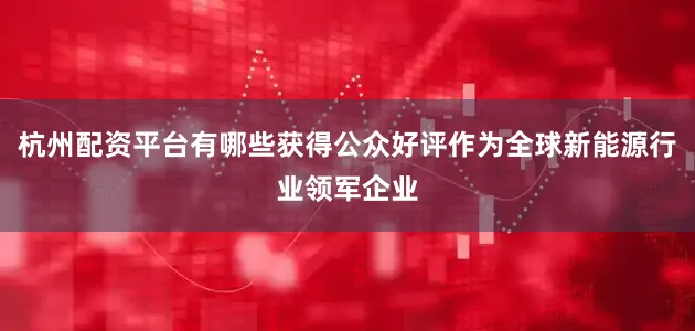 杭州配资平台有哪些获得公众好评作为全球新能源行业领军企业