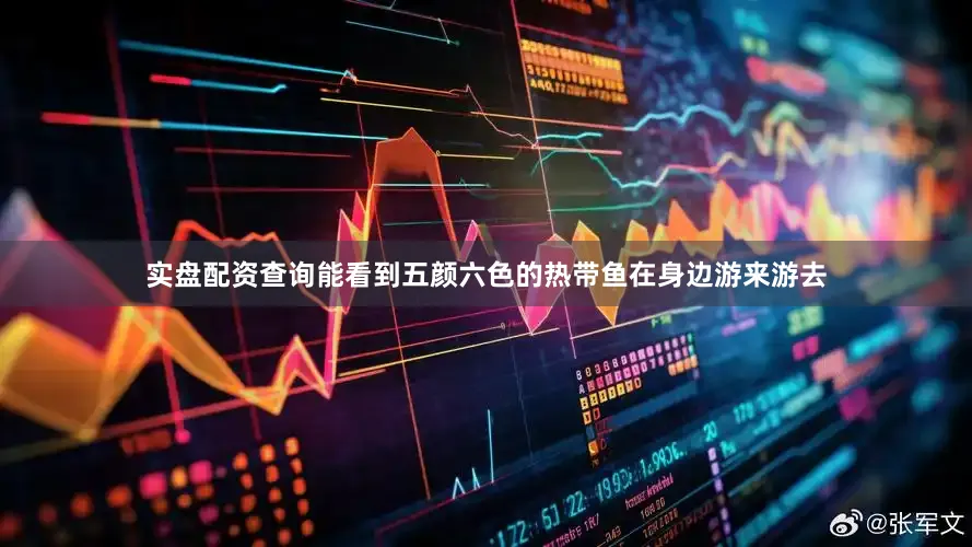 实盘配资查询能看到五颜六色的热带鱼在身边游来游去